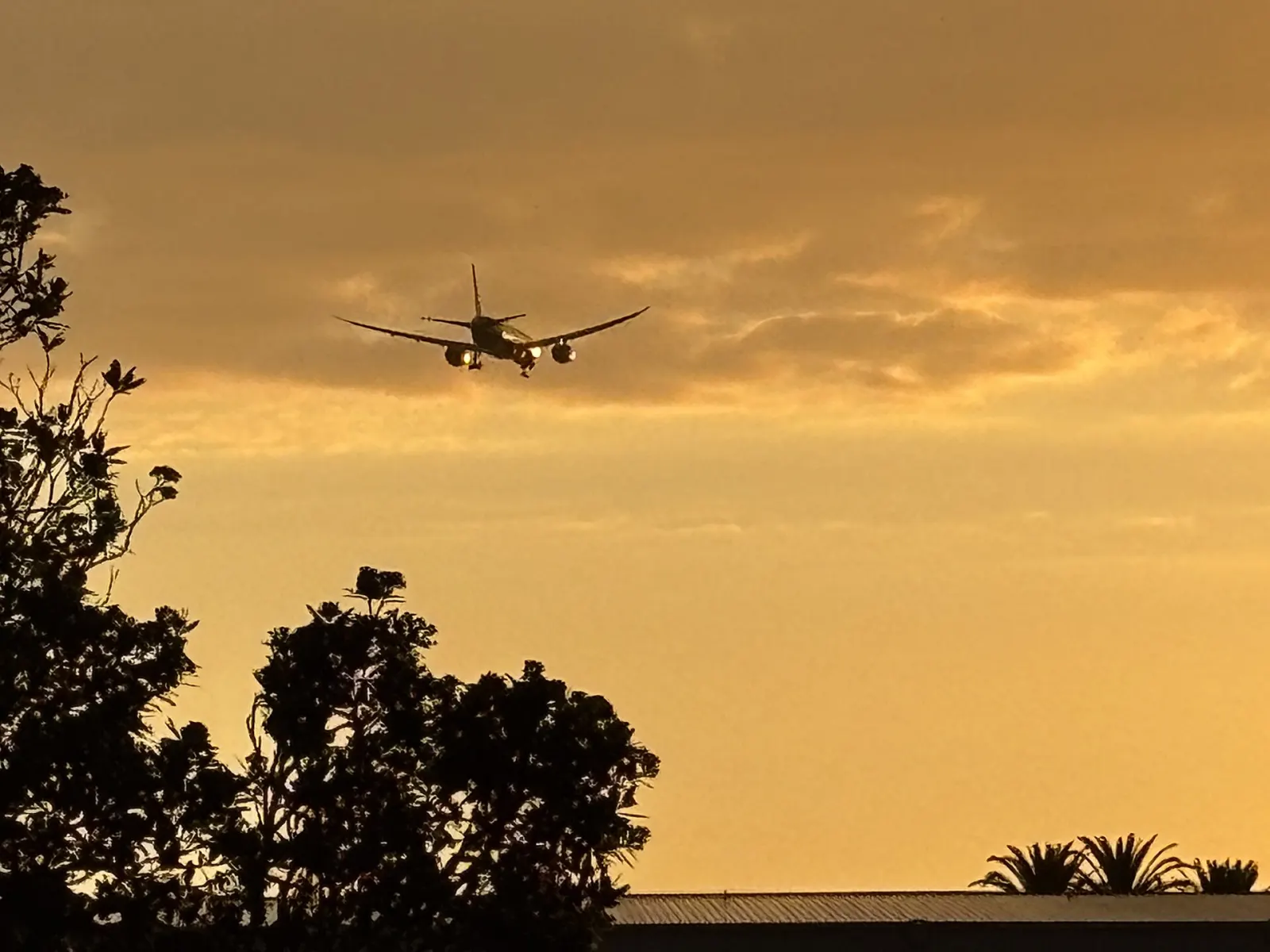 A widebody airliner on final approach, silhouetted against a golden sunset sky